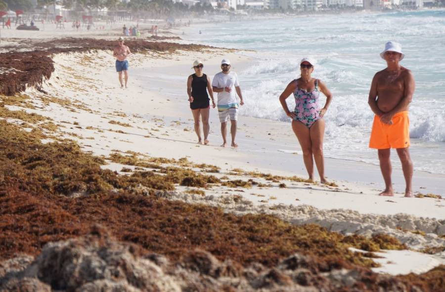 Sargazo invade playas de Quintana Roo; incrementa 79% el recale