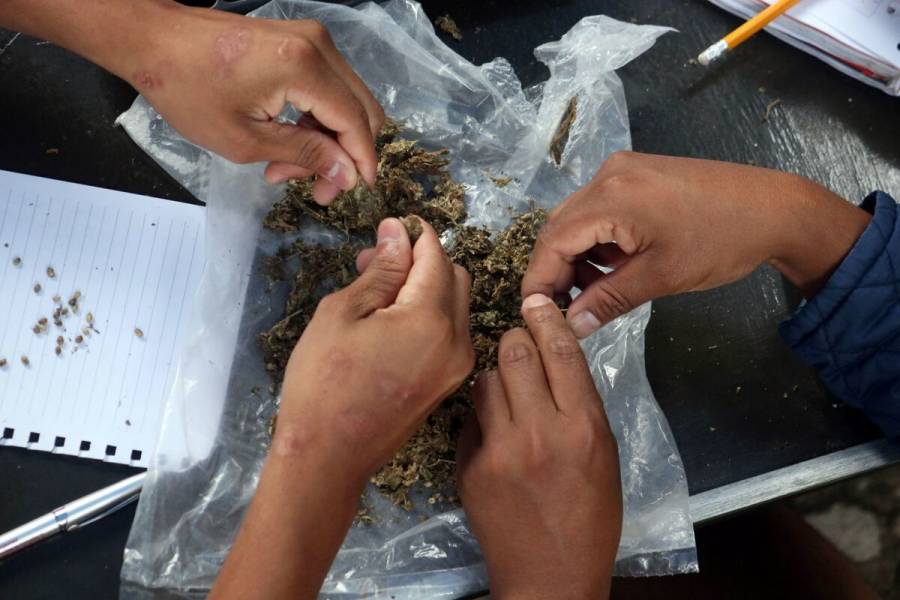 Fumar marihuana provoca más partículas PM2.5 que el humo del tabaco