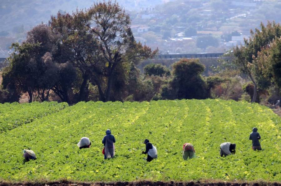Trabajadores mexicanos recibirán 2 mdd por fraude de empresas de EEUU