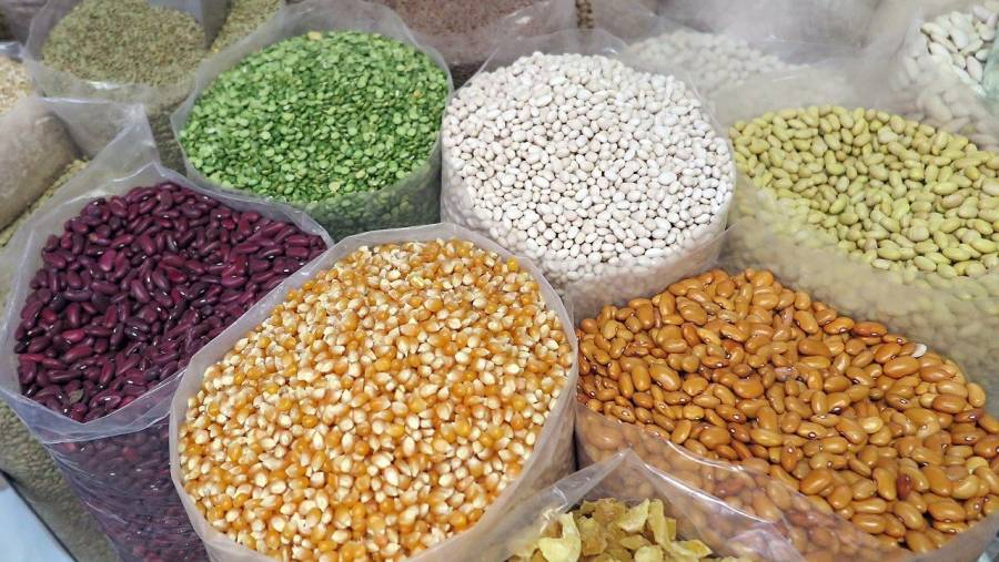 En marzo, sube 13% precios mundiales de alimentos: ONU
