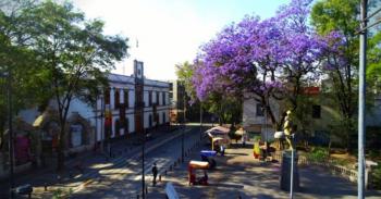 Tipos de viviendas en M&eacute;xico y cu&aacute;les se adaptan m&aacute;s a ti