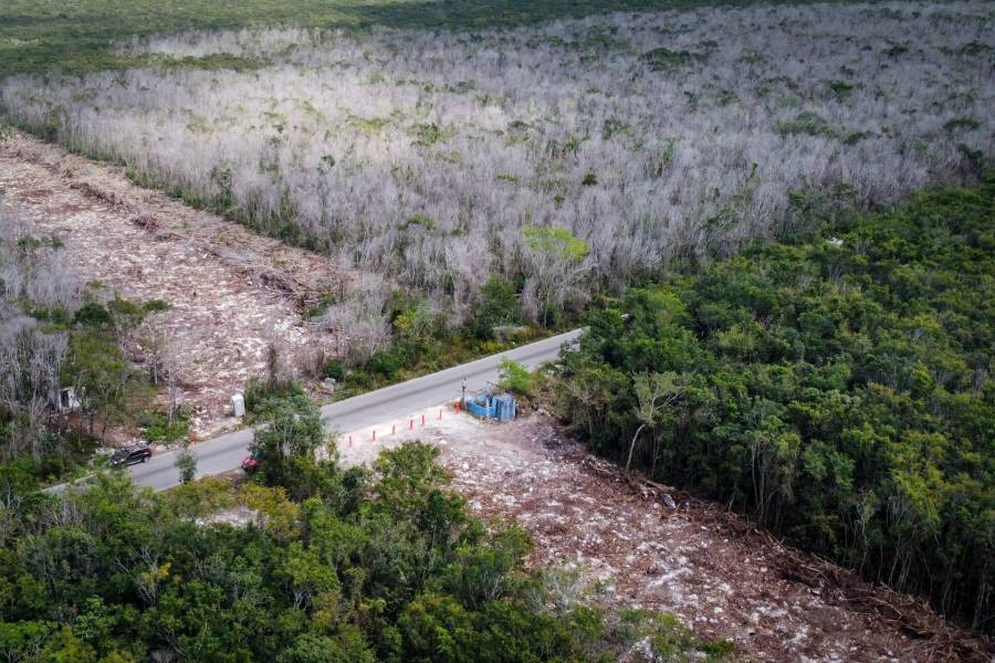 SHCP da luz verde a Sedena para operar Tren Maya y aeropuertos en el sur de México