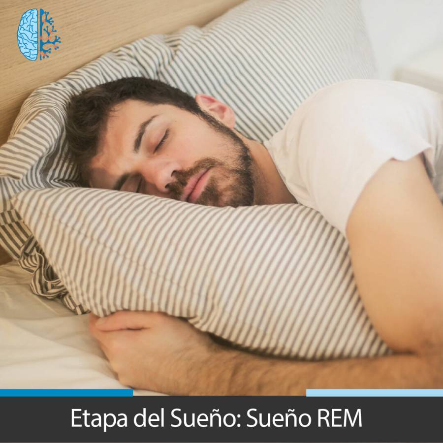 Dormir más de 8 horas puede ser contraproducente: Instituto del sueño