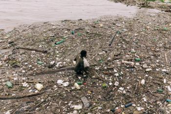 Suman 400 los muertos por las inundaciones en Sud&aacute;frica. Contin&uacute;a la b&uacute;squeda de desaparecidos