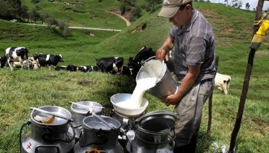 Sader y productores lácteos anuncian acciones en conjunto para garantizar el abasto