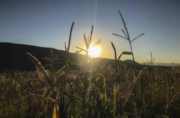 TierraFest 2022: cuida el planeta y gana hasta 10 mil pesos