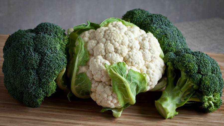 Destaca M&eacute;xico como l&iacute;der exportador de br&oacute;coli y coliflor