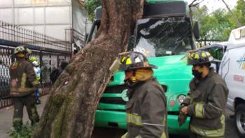 Al menos 13 heridos deja choque de camión contra un árbol en Canal de Miramontes