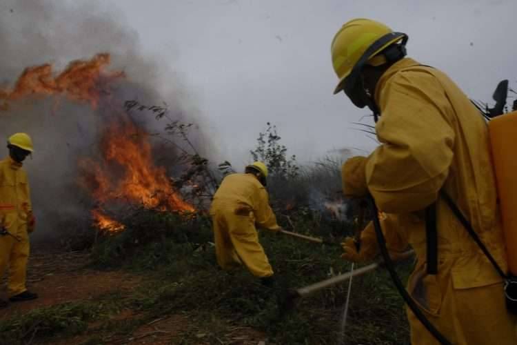 Incendio forestal en Cuba afecta 150 hectáreas de pinos