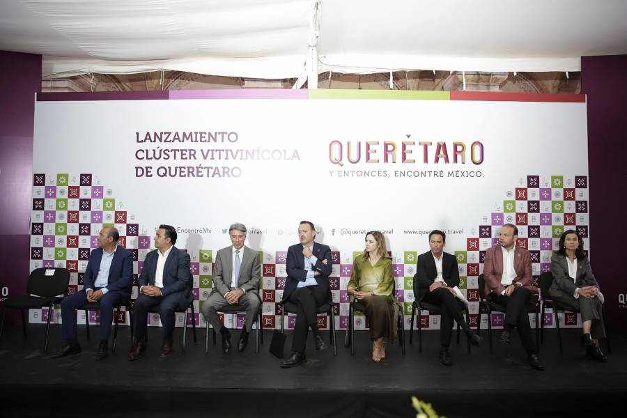 Crean el primer clúster vitivinícola de México. Promete empleos de alta especialización