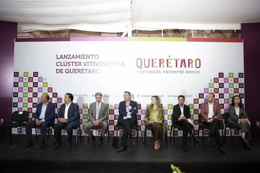 Crean el primer clúster vitivinícola de México. Promete empleos de alta especialización