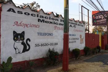 Propuesta de trasladar 1,500 animales del Refugio Franciscano al albergue a Xalatlaco está en pausa