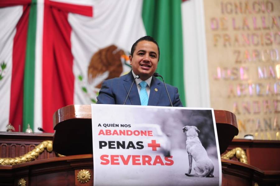 Morena CDMX propone hasta 3 años de cárcel a quien maltrate y abandone a sus mascotas