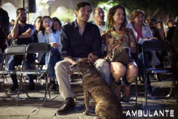 Regresa el festival de cine Ambulante 2022; tendr&aacute; gira digital y colectiva