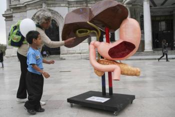 OMS declar&oacute; que la hepatitis en menores de edad es un tema “urgente” al que le dan “prioridad absoluta”