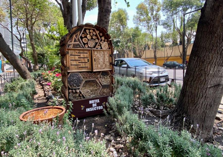 Hoteles para polinizadores tienen bebederos en Avenida México – Coyoacán