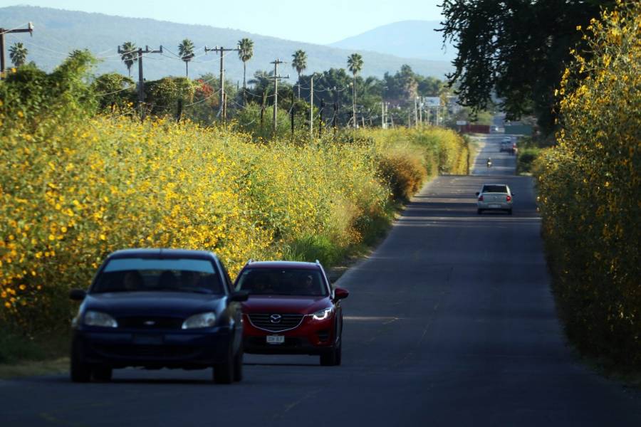 Disminuye 2.4% venta de automóviles en primer cuatrimestre del 2022: Inegi