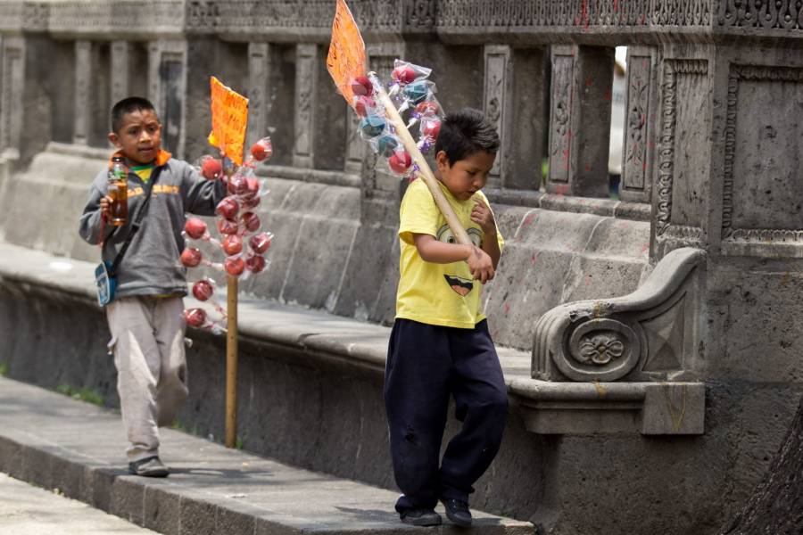 En México, el trabajo infantil en sector agrícola está prohibido: STPS