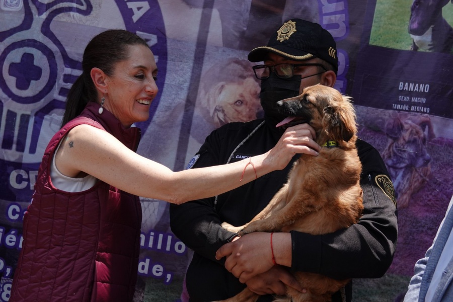 Claudia Sheinbaum visita Brigada de Vigilancia Animal de la Polic&iacute;a