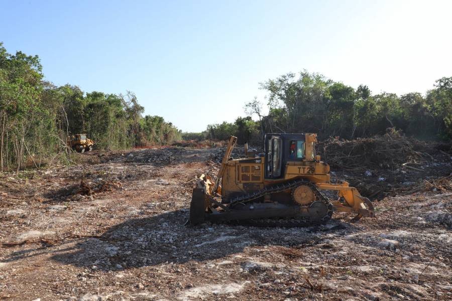 Por ausencia de la Manifestación del Impacto Ambiental, continúan suspendidas obras en Tramo 5 del Tren Maya