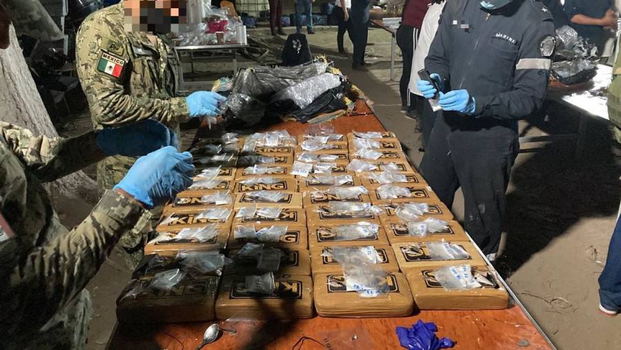 Decomisan 250 kilogramos de cocaína en Nuevo León