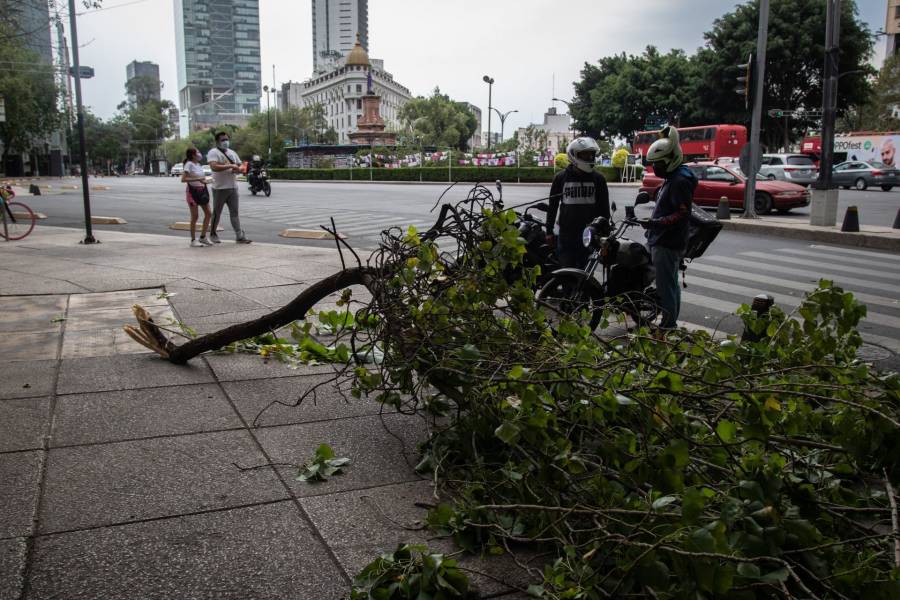 Alertan fuertes vientos para este lunes en la CDMX