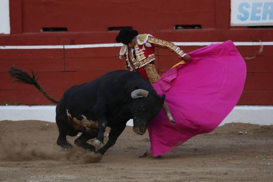 Samuel García veta ley que promueve las corridas de toros y peleas de gallos