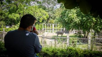 Cierra el zoológico estatal de El Salvador. Los animales serán resguardados en lugares de conservación