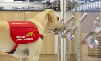 Perros entrenados pueden detectar Covid-19 mejor que las pruebas PCR, seg&uacute;n estudio