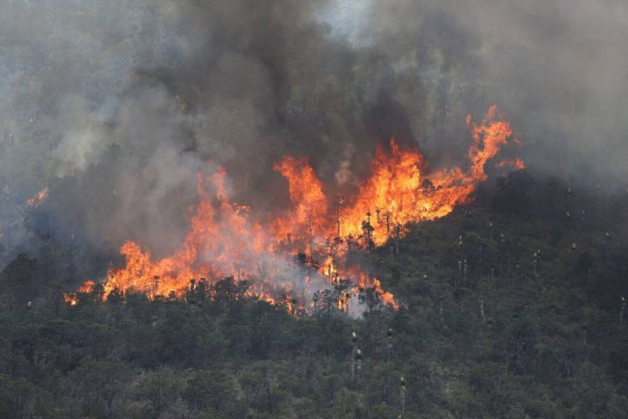 Financiamiento requerido para crisis climática aumentó 800% en 20 años: estudio