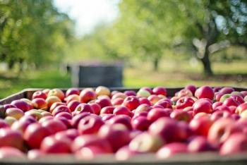 Alsea lanza Premio Alsea con un financiamiento de 150 mil d&oacute;lares a la investigaci&oacute;n ganadora en alimentaci&oacute;n y nutrici&oacute;n