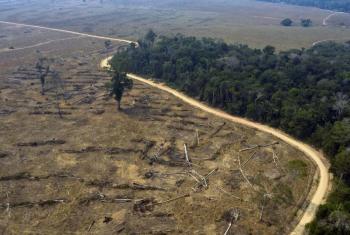 EEUU promete apoyo a Latinoam&eacute;rica y el Caribe en lucha contra cambio clim&aacute;tico