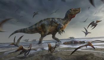 Descubren en la isla de Wight el mayor dinosaurio carnívoro de Europa