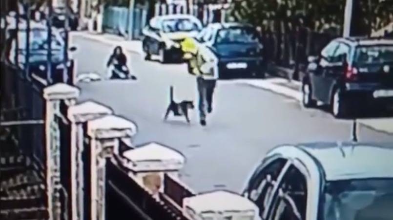 Perro salva a mujer de ser asaltada por un sujeto en Montenegro, Europa