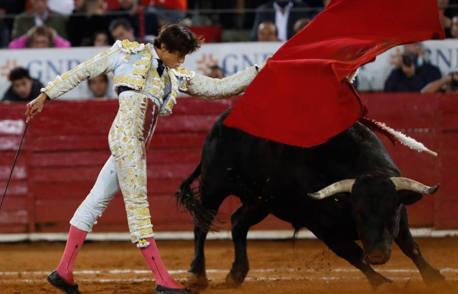 Juez suspende definitivamente las corridas de toros en la Plaza México