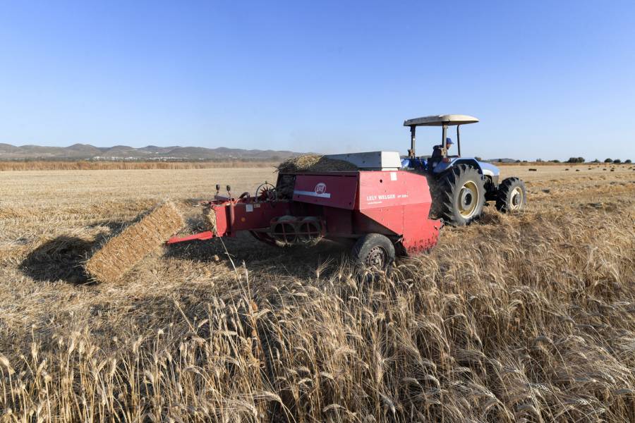 EEUU, Brasil, Argentina, México y Canadá acuerdan producir más alimentos y fertilizantes