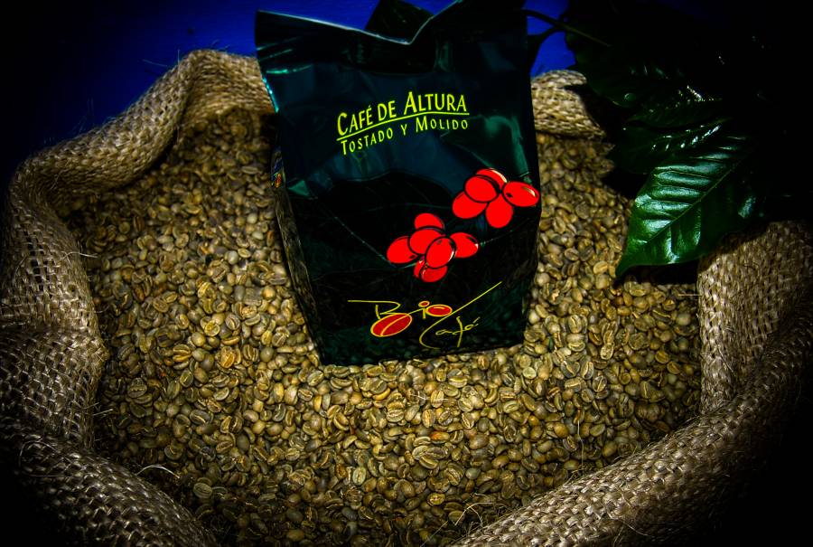 Productores y consumidores de caf&eacute; ser&aacute;n beneficiados con nueva era de organismo internacional: Agricultura