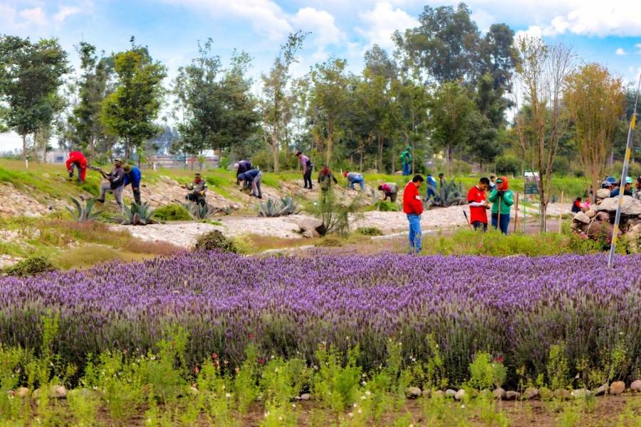 CDMX, entre las ciudades finalistas para obtener premio en material ambiental