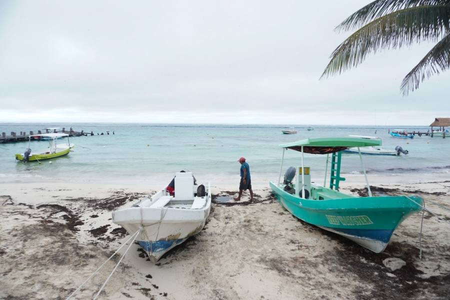 CFE confirma suspensión de servicio eléctrico en Yucatán, Quintana Roo y Campeche