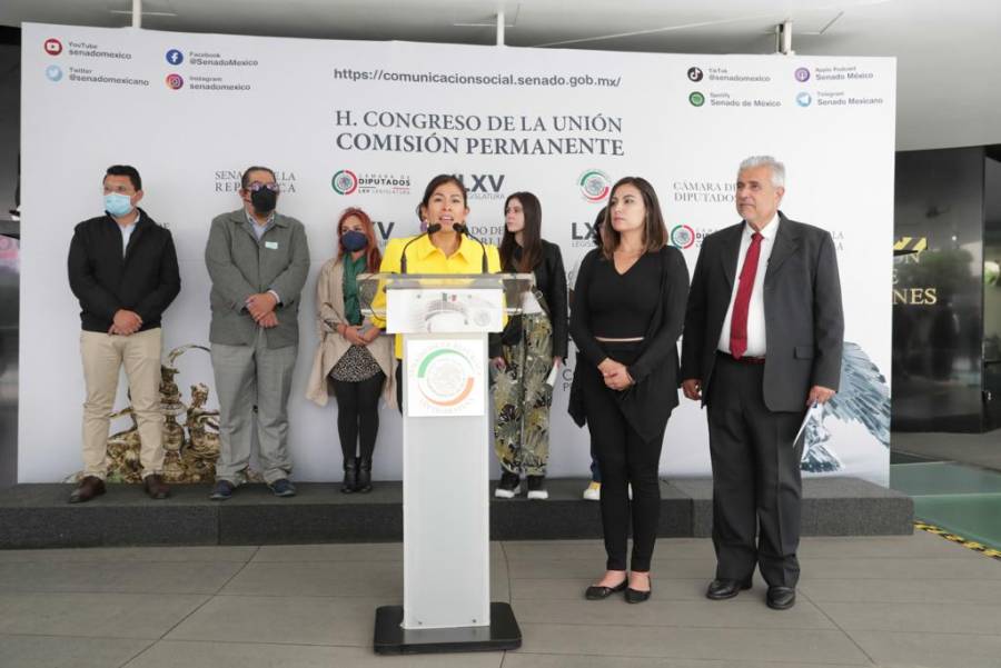 Reconocen a Senado y SSC por recuperación de niños sustraídos