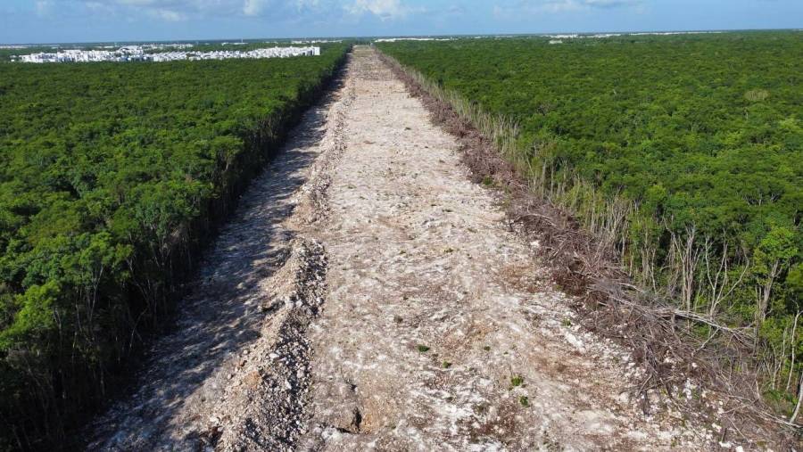 Tren Maya: Fonatur retomará obras del Tramo 5 este lunes 27 de junio