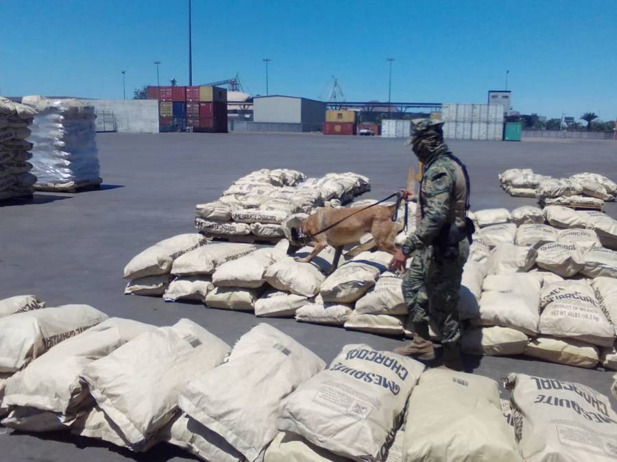 En 7 a&ntilde;os increment&oacute; 218% el consumo de metanfetamina en M&eacute;xico: ONU-DC