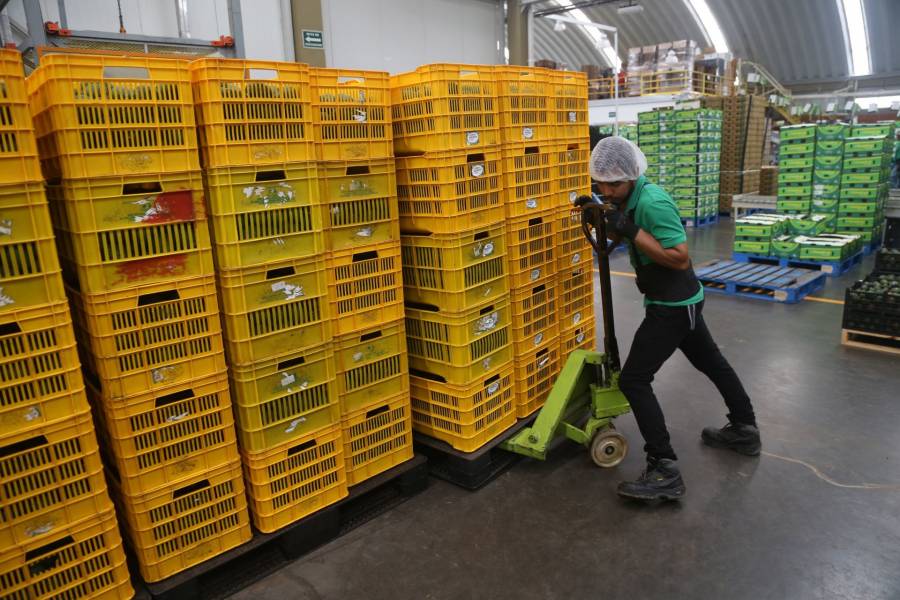 Crecieron exportaciones 22.4% en mayo informa INEGI