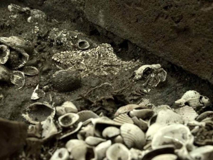 CDMX: Descubren sepulcros de cuatro niños azteca en el Centro Histórico