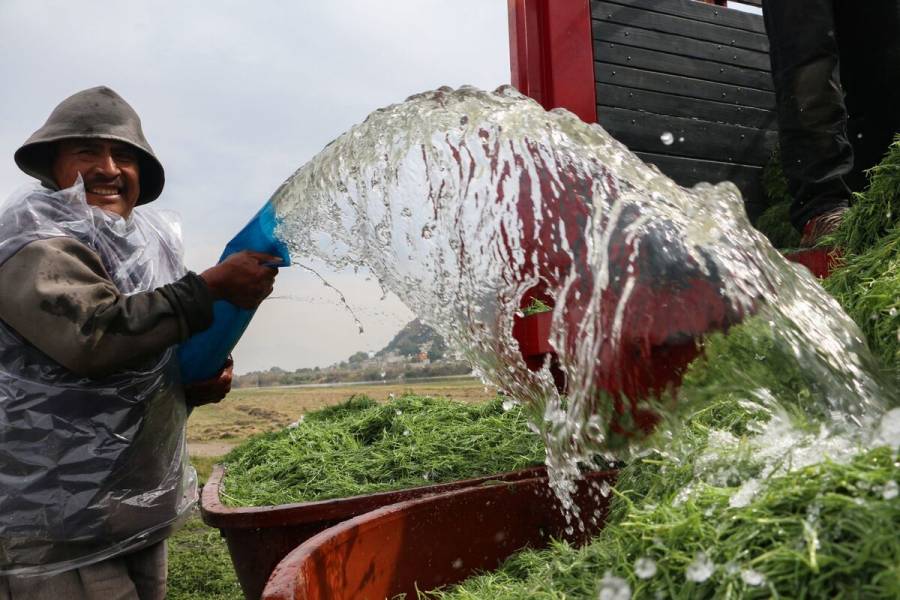 La Agricultura concentra uso del agua en Nuevo León