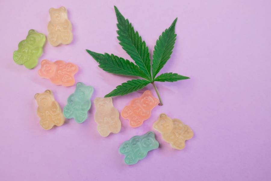 ¿Qué buscan los grandes inversionistas de la industria del cannabis en México?