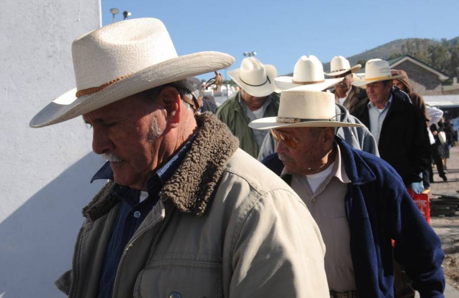 Programa Bracero: ¿cuál fue la balanza histórica del tratado?