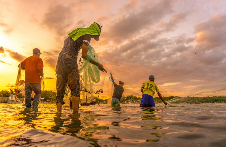 Agricultura levanta veda temporal de camarón en el Golfo de México