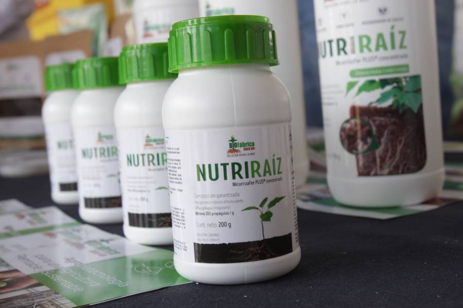 Se impulsará la producción de fertilizantes