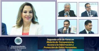 Garantizar el derecho al acceso a la información, requisito esencial de un parlamento abierto: Ibarra Cadena
